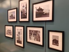 -魏家凉皮(梨园店)