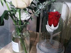 -Libra Flora花店(骆岗中央公园店)