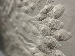 -上海当代艺术博物馆