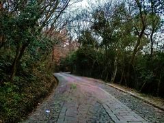 -紫金山山顶公园