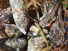 高压锅生蚝-遇见 ·砂师弟与二师兄