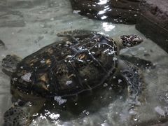 -杭州海底世界