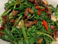 -广东道至正餐厅(区庄店)