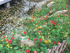 -上海都市菜园
