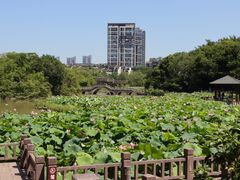 -金山公园