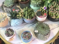 -循礼门鲜花花市(武汉循礼门店)