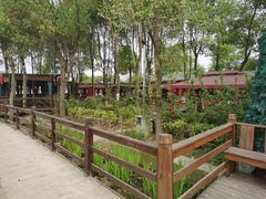 -洪湖家庭农场·团建·露营·会议