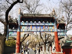 -北京国子监胡同