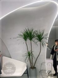 -M造型