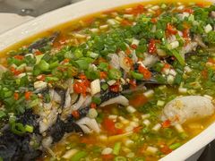 飞虹鱼-飞虹鱼馆(春华路店)