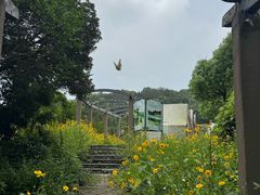 -龙寺生态园