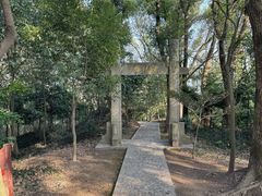 -上海佘山国家森林公园天马山园