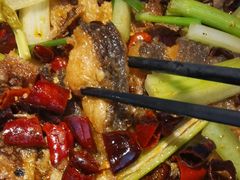 -老板恋上鱼(恒隆广场店)