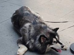 -大悦城(沈阳中街店)