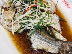 -丹江渔村(望京店)