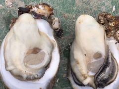 -Oyster Talks 四度蚝法餐厅