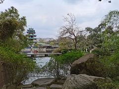 -桂湖森林公园