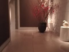-上海柏悦酒店