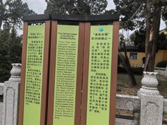 -司徒庙