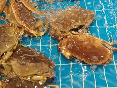 -新丁香海鲜酒店(银海商贸城店)