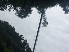 -川西竹海景区