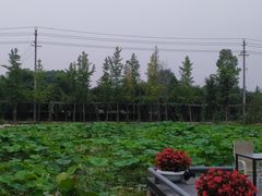 -洪湖家庭农场·团建·露营·会议