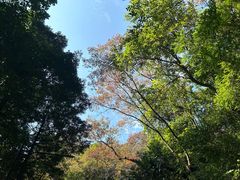 -广州市白云山风景名胜区