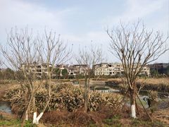 -两河城市森林公园