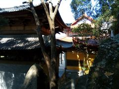 景点-青芝山风景名胜区