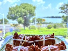 -蟹天蟹地农家菜·阳澄湖大闸蟹(浅水湾店)