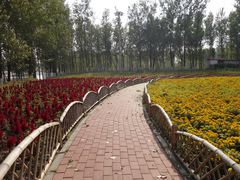 -天津武清北运河郊野公园房车露营地