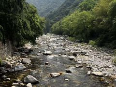 -沣峪口