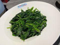 清炒地瓜叶-佬太公海鸭·海鲜大排档(上海总店)
