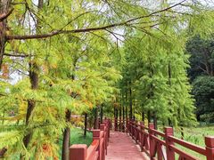 -广州市石门国家森林公园