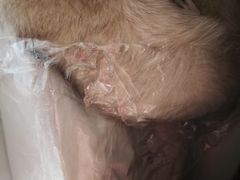 -布瑞琳洗衣(万柳书院店)