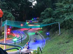 -圣淘沙天际线斜坡滑车