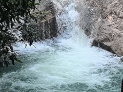 -广州白江湖森林公园