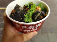 -黑色经典臭豆腐·湖南特产(坡子街店)