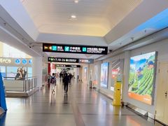 -厦门高崎国际机场-T3航站楼