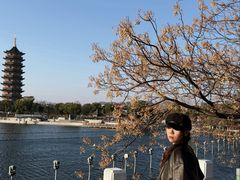 -葛仙湖公园