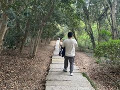 -采石矶景区