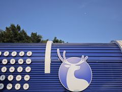 -白城沙滩