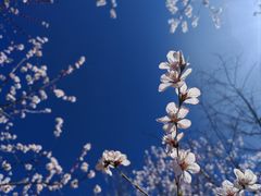 -滨河世纪广场公园