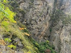 -小五台金河景区