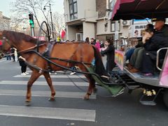 -天津五大道文化旅游区
