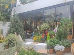 -自由生长植物工作室(深港花卉中心店)