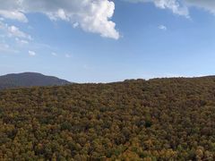 -灵山
