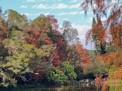 -深圳仙湖植物园