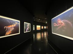 -罗红摄影艺术馆