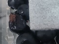 -迪士尼小镇